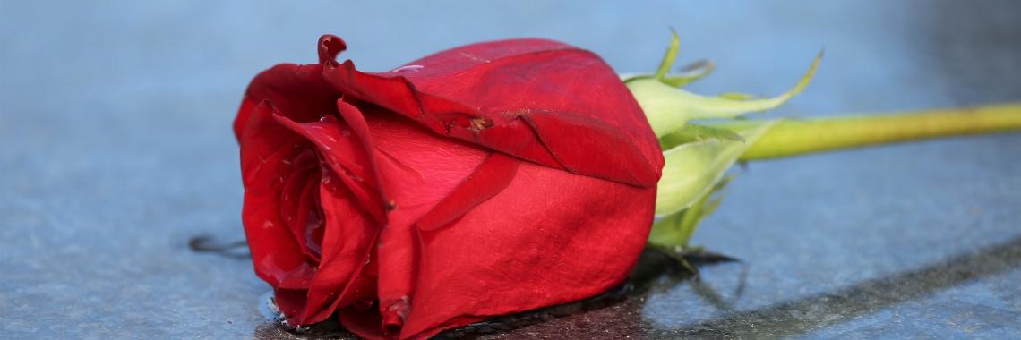 Herzlich willkommen im Pastoralen Raum Mechernich Herzlich willkommen im Pastoralen Raum Mechernich