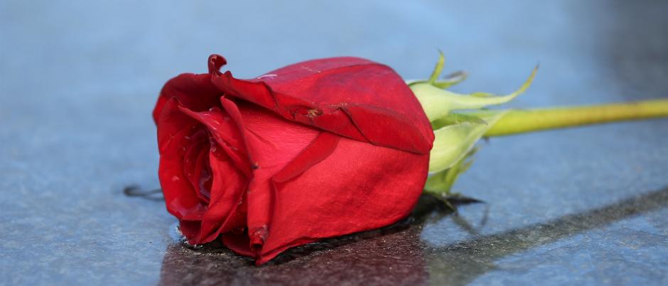 Herzlich willkommen im Pastoralen Raum Mechernich Herzlich willkommen im Pastoralen Raum Mechernich