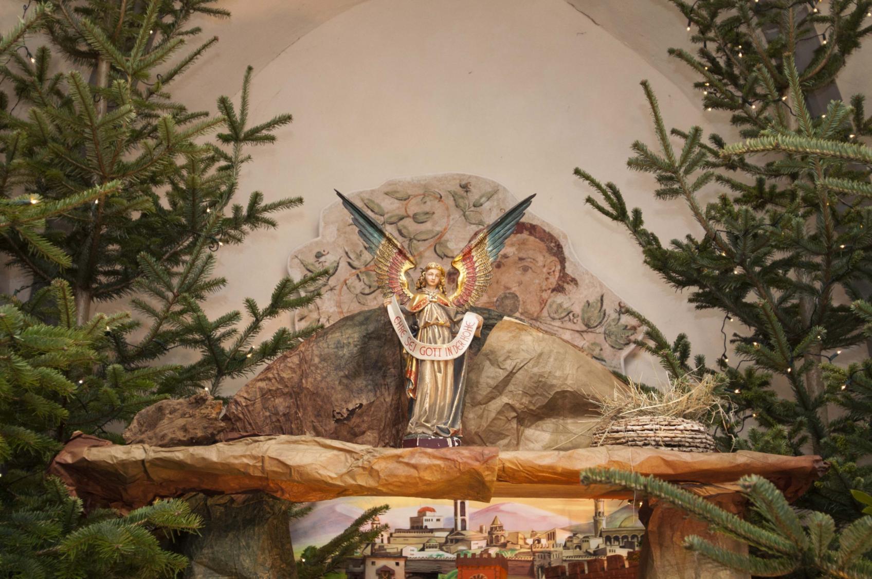 Assion (c) David Dreimüller/pp/Agentur ProfiPress