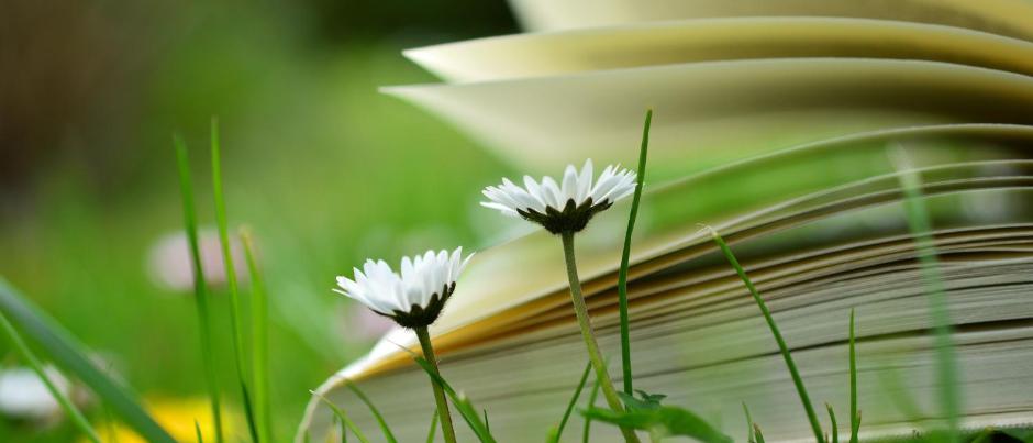 Herzlich willkommen im Pastoralen Raum Mechernich Herzlich willkommen im Pastoralen Raum Mechernich