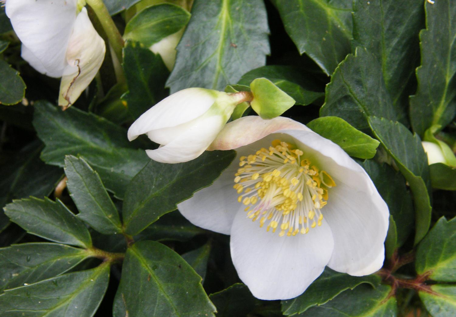 Herzlich willkommen im Pastoralen Raum Mechernich