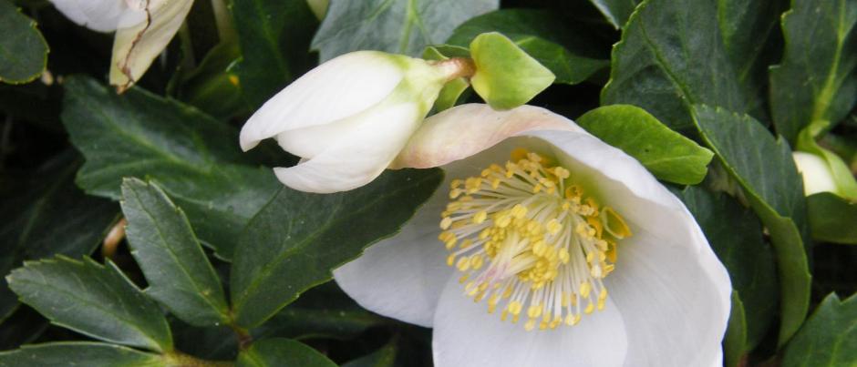 Herzlich willkommen im Pastoralen Raum Mechernich