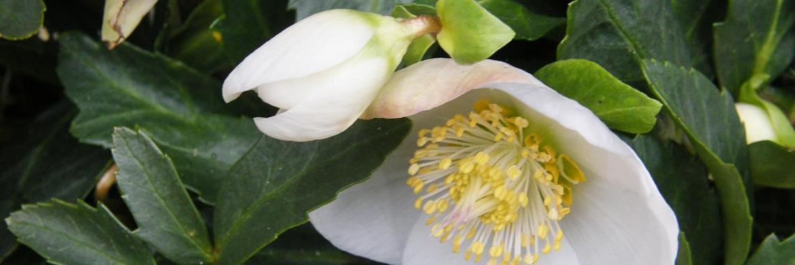 Herzlich willkommen im Pastoralen Raum Mechernich