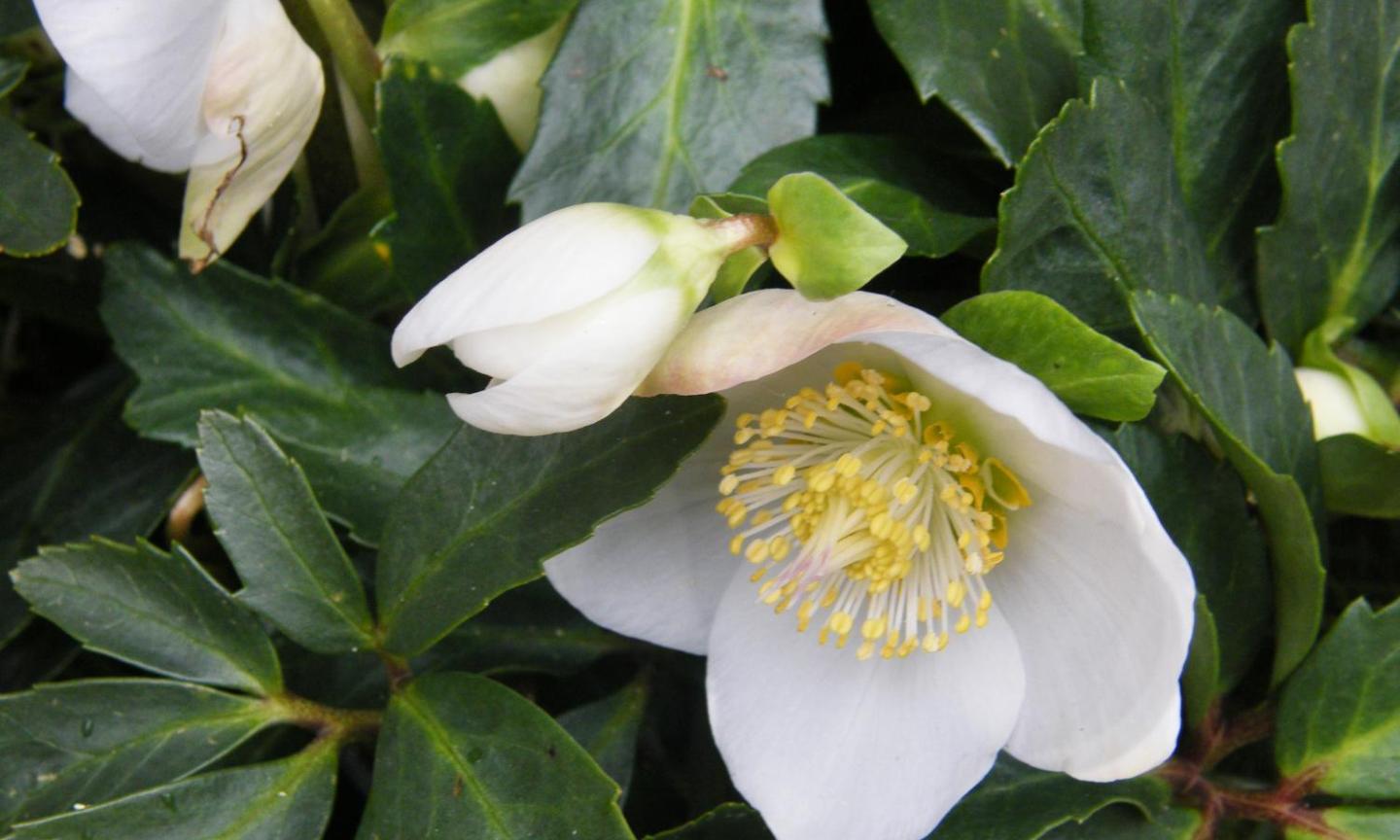 Herzlich willkommen im Pastoralen Raum Mechernich