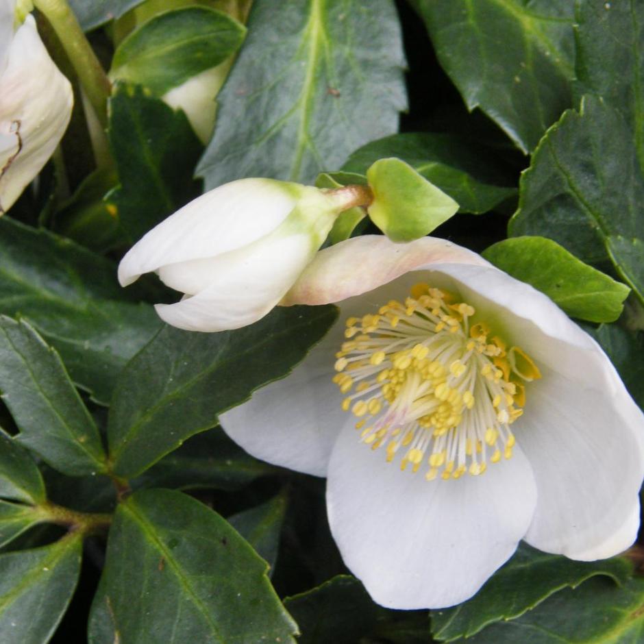 Herzlich willkommen im Pastoralen Raum Mechernich