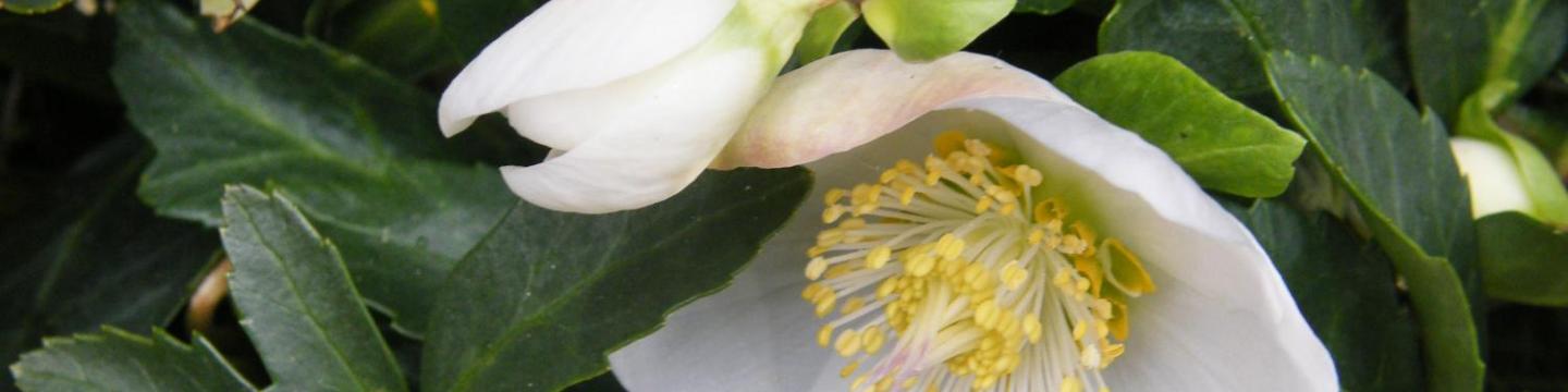 Herzlich willkommen im Pastoralen Raum Mechernich