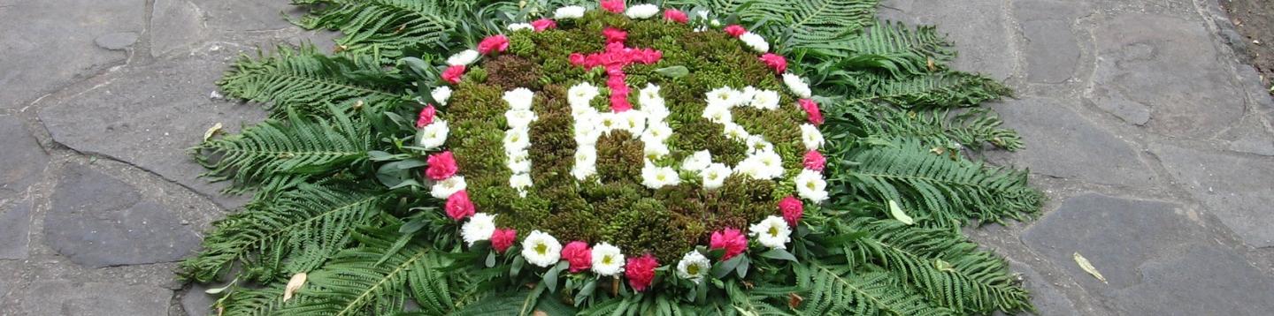 Herzlich willkommen im Pastoralen Raum Mechernich