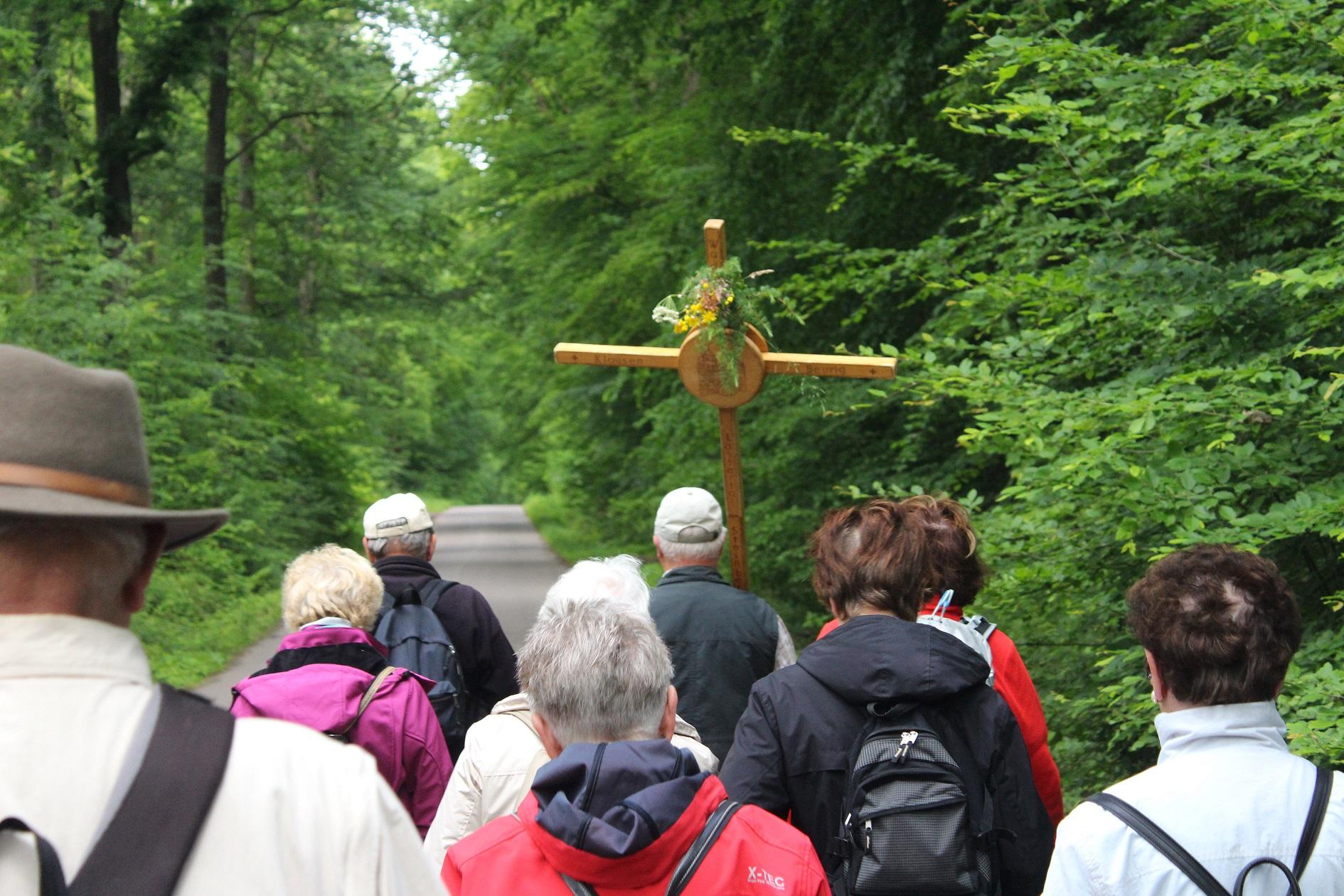 Fußwallfahrt (c) Johannes Maria Berg, Pfarrbriefservice.de