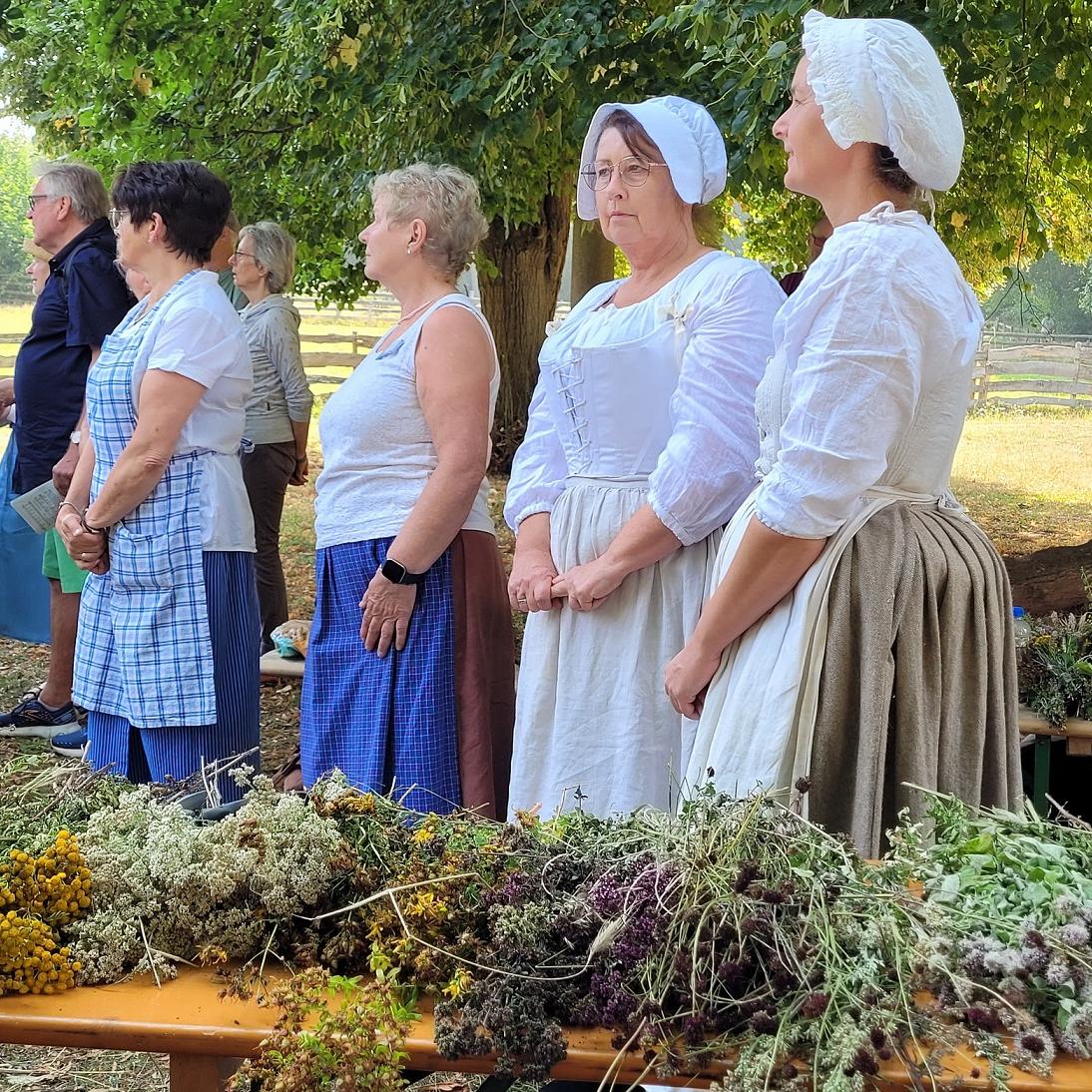 Monika Blaeser, Anita Wolfgarten, Petra Spürkel und Jenny Zimmermann, die Hauswirtschafterinnen des LVR-Freilichtmuseums Kommern hatten neun verschiedene Heilkräuter und Nutzpflanzen gesammelt, die sie am Festtag Maria Himmelfahrt nach einer Segensfeier zu Krautwischen banden und an die Museumsbesucher verschenkten.