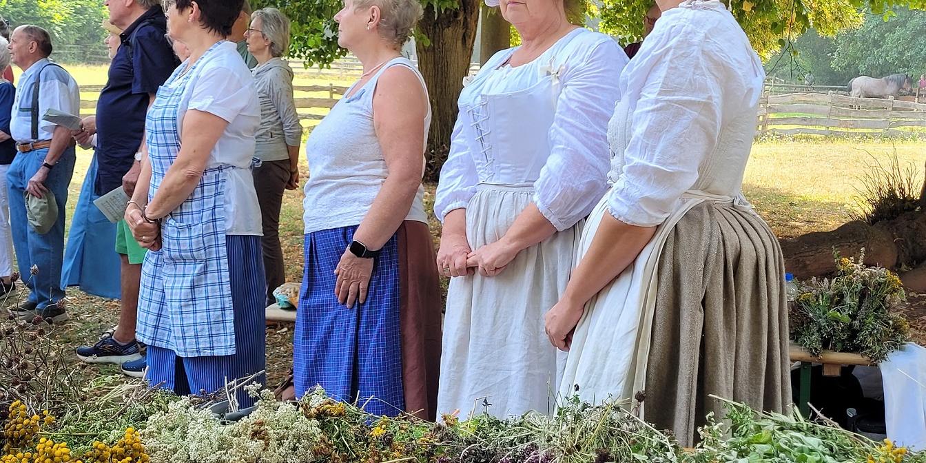 Monika Blaeser, Anita Wolfgarten, Petra Spürkel und Jenny Zimmermann, die Hauswirtschafterinnen des LVR-Freilichtmuseums Kommern hatten neun verschiedene Heilkräuter und Nutzpflanzen gesammelt, die sie am Festtag Maria Himmelfahrt nach einer Segensfeier zu Krautwischen banden und an die Museumsbesucher verschenkten.