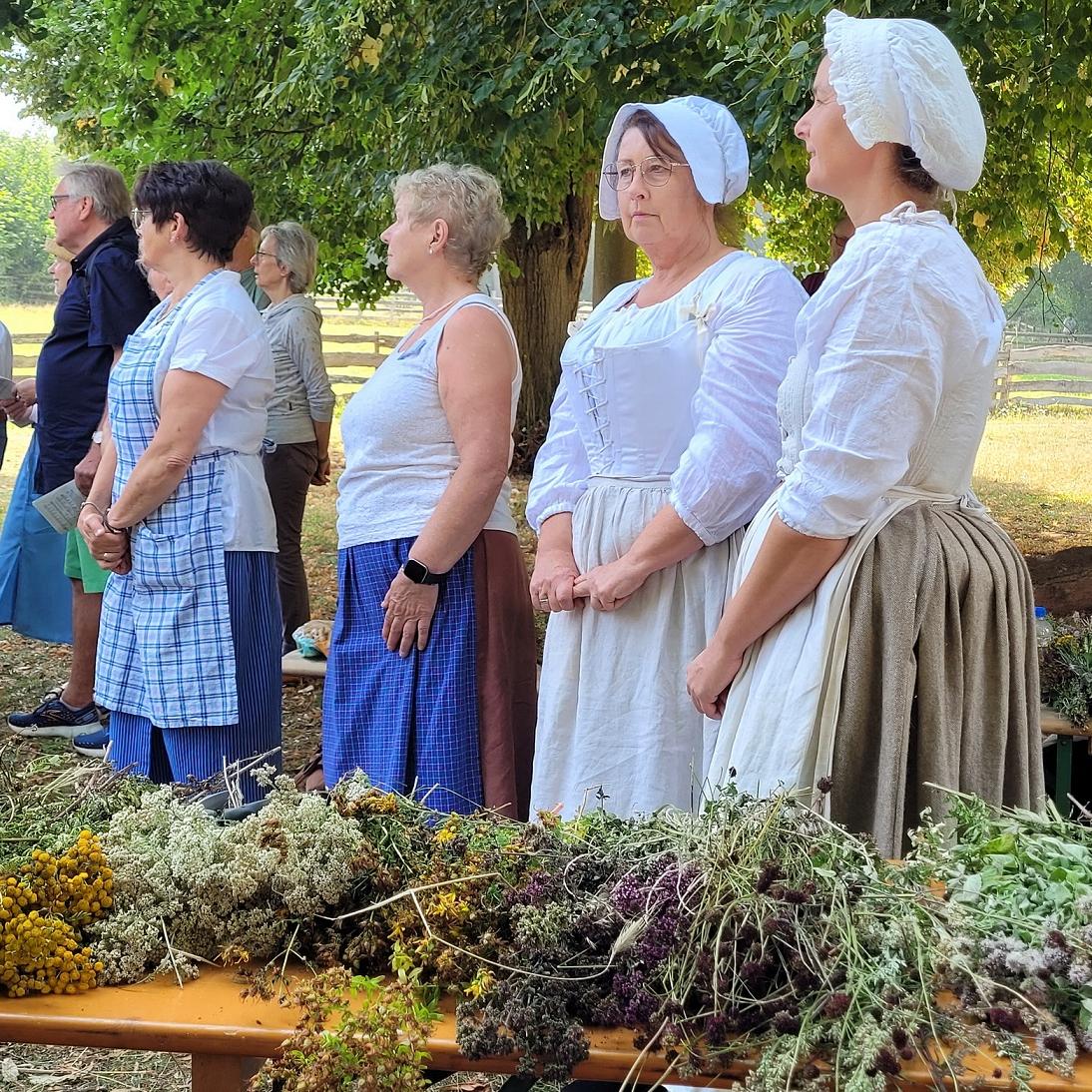 Monika Blaeser, Anita Wolfgarten, Petra Spürkel und Jenny Zimmermann, die Hauswirtschafterinnen des LVR-Freilichtmuseums Kommern hatten neun verschiedene Heilkräuter und Nutzpflanzen gesammelt, die sie am Festtag Maria Himmelfahrt nach einer Segensfeier zu Krautwischen banden und an die Museumsbesucher verschenkten.