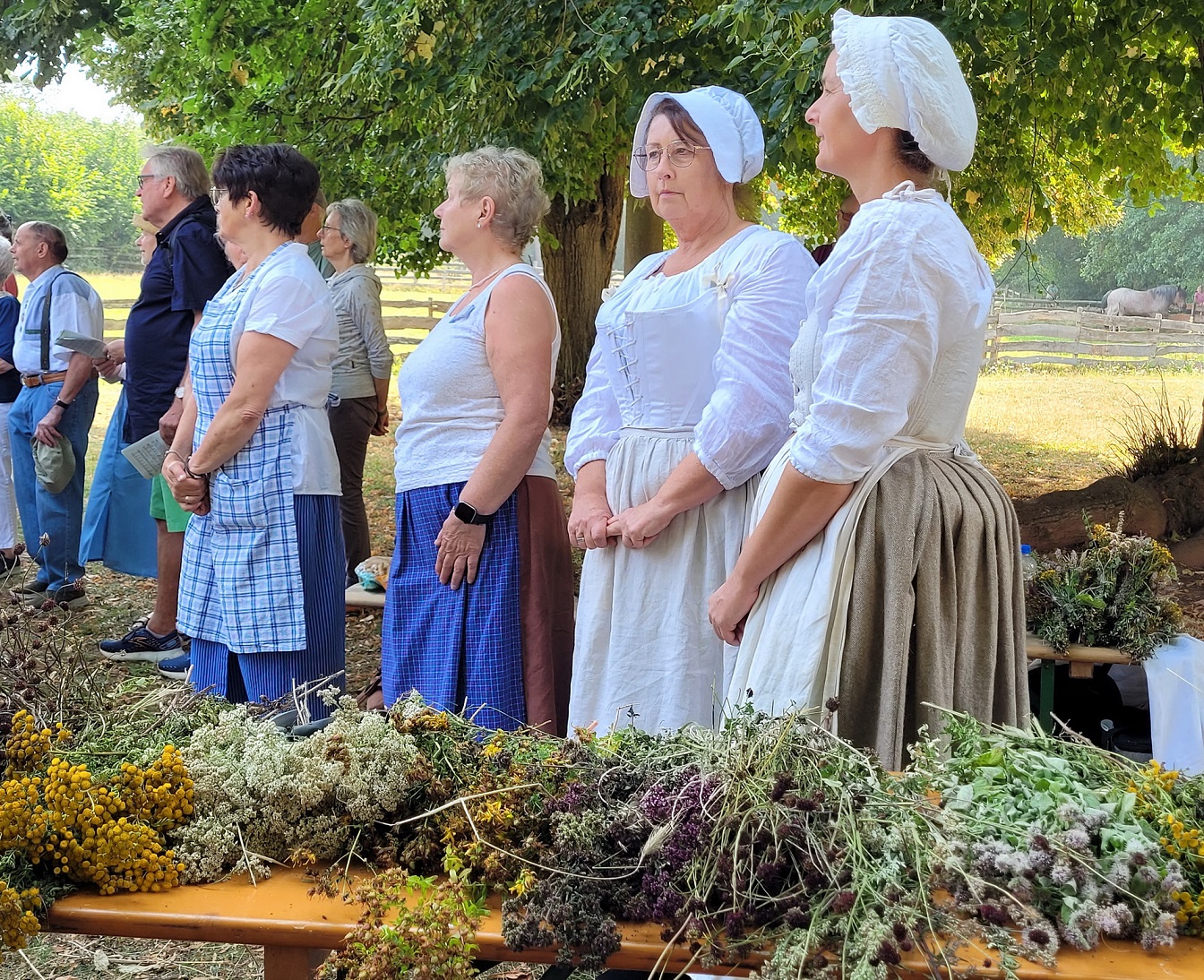 Monika Blaeser, Anita Wolfgarten, Petra Spürkel und Jenny Zimmermann, die Hauswirtschafterinnen des LVR-Freilichtmuseums Kommern hatten neun verschiedene Heilkräuter und Nutzpflanzen gesammelt, die sie am Festtag Maria Himmelfahrt nach einer Segensfeier zu Krautwischen banden und an die Museumsbesucher verschenkten. (c) Foto: Sabine Roggendorf/pp/Agentur ProfiPress