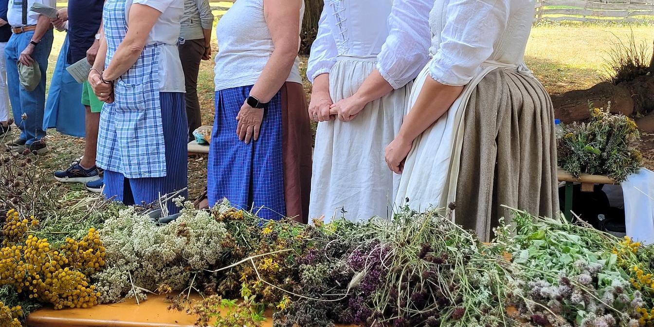 Monika Blaeser, Anita Wolfgarten, Petra Spürkel und Jenny Zimmermann, die Hauswirtschafterinnen des LVR-Freilichtmuseums Kommern hatten neun verschiedene Heilkräuter und Nutzpflanzen gesammelt, die sie am Festtag Maria Himmelfahrt nach einer Segensfeier zu Krautwischen banden und an die Museumsbesucher verschenkten.