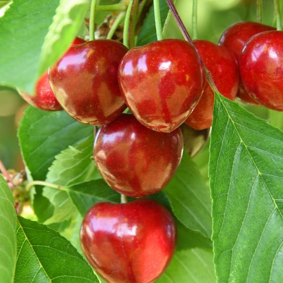  Herzlich willkommen im Pastoralen Raum Mechernich    