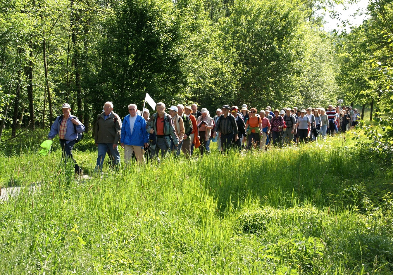 Der Eifelverein Mechernich lädt in den kommenden Wochen zu vier abwechslungsreichen Touren ein. Sie führen durch stille Täler, auf historische Spuren und mitten hinein in den Nationalpark Eifel. (c) Ruth Weitz/pixabay/pp/Agentur ProfiPress