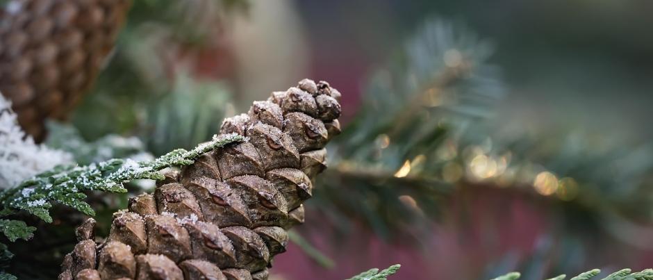  Herzlich willkommen im Pastoralen Raum Mechernich    