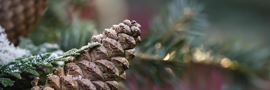  Herzlich willkommen im Pastoralen Raum Mechernich    