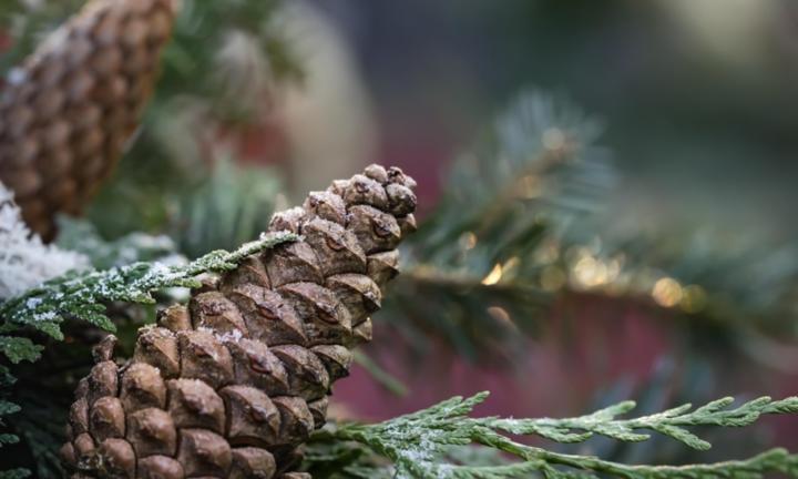  Herzlich willkommen im Pastoralen Raum Mechernich    