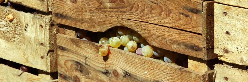  Herzlich willkommen im Pastoralen Raum Mechernich    