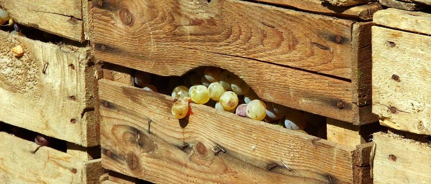  Herzlich willkommen im Pastoralen Raum Mechernich    