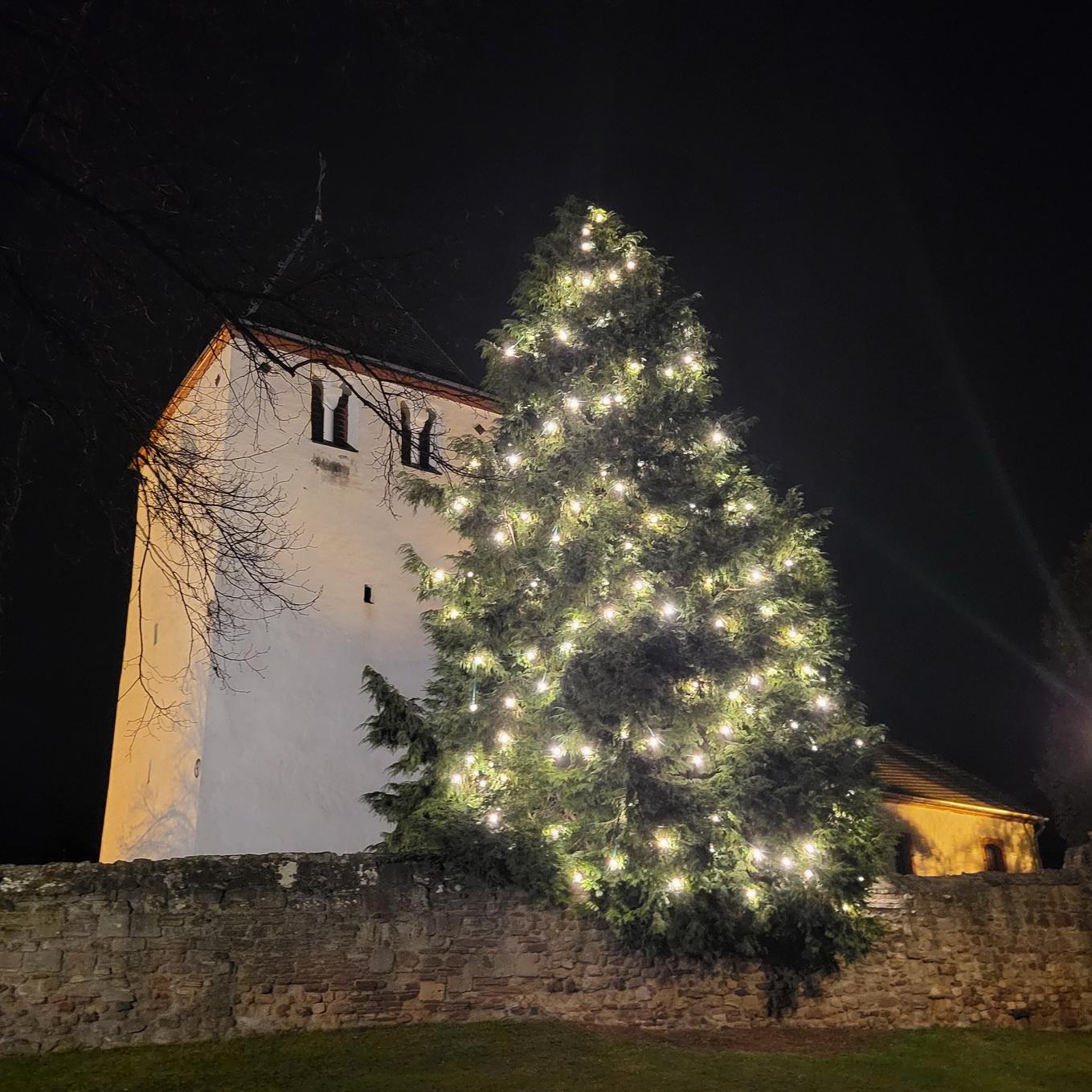 Über den Dächern von Mechernich lässt dieser naturgewachsene Tannenbaum an der Alten Kirche sein warmes Licht erstrahlen.