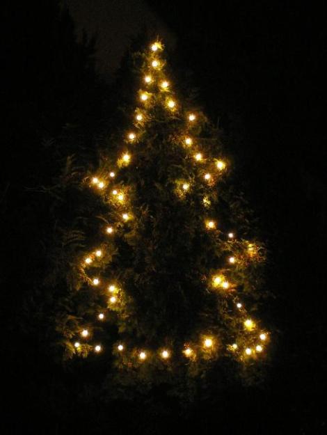 Weihnachtsbaum (c) © Elmar Waigand, pfarrbriefservice.de