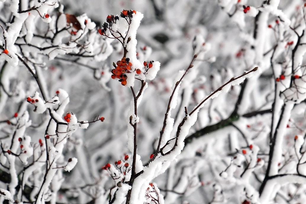 Winter_by_peter_weidemann_pfarrbriefservice